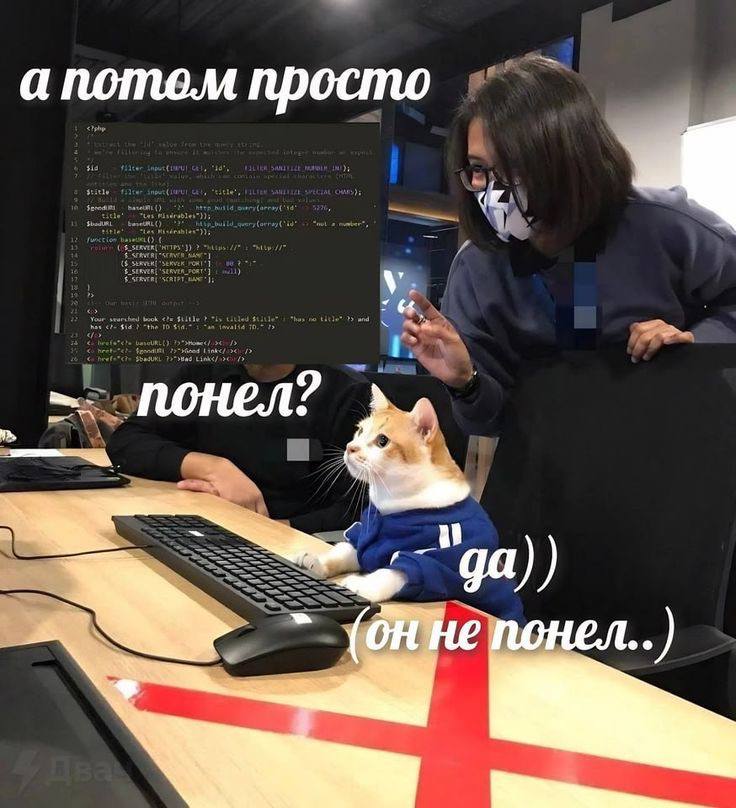 ../_images/meme_script.jpg